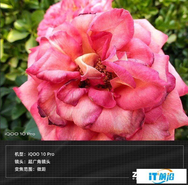 【有料評測】iQOO 10 Pro全面評測：刷新快充天花板 
